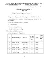 Báo cáo quản trị năm 2013 bc quan tri 2013