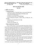 Báo cáo thường niên năm 2013 bc thuong nien 2013