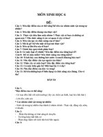 NGAN HANG DE THI HOC KI I