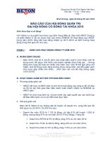 06 Bao cao hoat dong HDQT