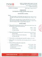 Nghị quyết ĐHĐCĐ TVSI năm 2017