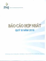 BCTC quy 3 nam 2016 Hop nhat File nhe
