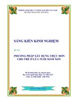 SKKN PHƯƠNG PHÁP xây DỰNG THỰC ĐƠNCHO TRẺ ở TRƯỜNG mầm NON 