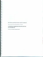 PNJ Consol FS E 31.12.15 File nhe