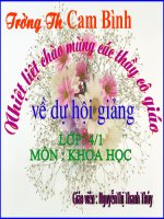 Bài 15. Bạn cảm thấy thế nào khi bị bệnh?