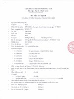 15 So yeu ly lich ung vien de cu tham gia HDQT (Dang Hong Hai)