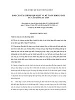 Noi Dung   Bao cao Tai Chinh Hop Nhat