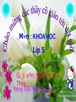 Bài 59. Sự sinh sản của thú