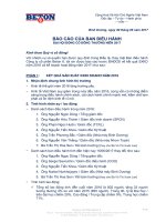 Báo cáo hoạt động của Ban điều hành