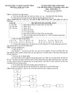 ĐỀ THI HSG SINH HỌC 11 CÓ ĐÁP ÁN NĂM HỌC 2016-2017.