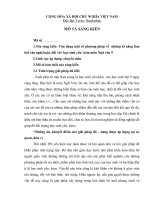Vận dụng một số phương pháp về những kĩ năng làm bài văn nghị luận, đối với  học sinh yếu  kém môn ngữ văn 9 THCS dong khoi nguyen van phi  