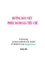 5.Huong dan viet Phieu danh gia tieu chi(2016)