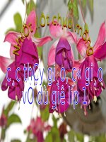 Bài 9. Hoạt động và nghỉ ngơi