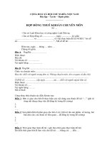 3.HOP DONG THUE KHOAN CHUYEN MON