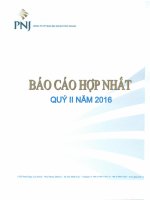 BCTC quy 2 nam 2016 Hop nhat