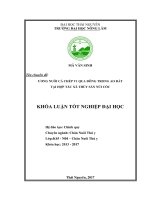 Ươm nuôi cá chép v1 qua đông trong ao đất tại hợp tác xã thủy sản núi cốc 