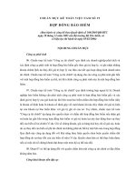 Noi Dung Hop Dong Bao Hiem