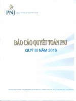 BCTC quy 3 nam 2016 PNJ File nhe