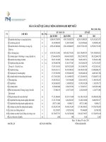 Quyet toan quy 2 nam 2011 Hop nhat Ket qua kinh doanh