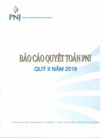BCTC quy 2 nam 2016 PNJ