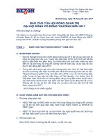 Báo cáo hoạt động của HĐQT