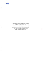 BCTC soat xet ban nien hop nhat KPMG Tieng Viet