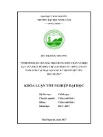 Tình hình lợn con mắc hội chứng tiêu chảy và hiệu lực của phác đồ điều trị giai đoạn từ 1 đến 21 ngày tuổi tại trại lợn chu bá thơ ở việt yên   bắc giang 