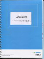 Báo cáo tài chính năm 2016 (PDF | 13.80MB)