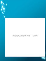 Phân khu ổ phúc mạc và cấu tạo hậu cung mạc nối