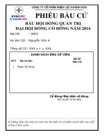 Mẫu Phiếu bầu cử HĐQT