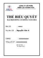 Mẫu Thẻ biểu quyết