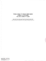 PIS. BCTC HOP NHAT SOAT XET 6 THANG 2017