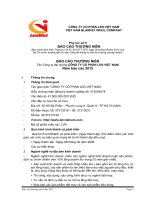 Lenviet.com.vn | Báo cáo thường niên 2015