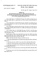 Văn bản Bộ, Ngành - CỤC HẢI QUAN TỈNH CÀ MAU