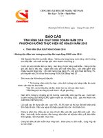 Lenviet.com.vn | Báo cáo SXKD 2015