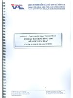 Công bố thông tin báo cáo tài chính năm 2016 đã được kiểm toán|Công ty Cổ phần Dược phẩm Trung Ương 3 - FORIPHARM