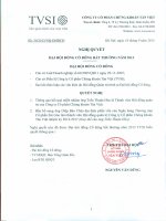 TVSI 20130917 NQ DHDCD bat thuong 2013