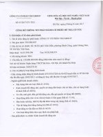 17.6.27.CBTT vv phat hanh cp