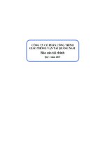 - đầy đủ BCTC quý 1 năm 2015 công ty mẹ