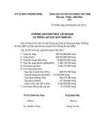 Bao cao phuong an phan phoi loi nhuan-11