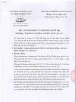 17.3.27.6. Bao cao hoat dong cua HDQT