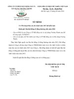 2016   HC   11. To trinh phe duyet BCTC 2015 da kiem toan