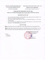 17.4.12 Nghi quyet HDQT tu nhiem a Dien