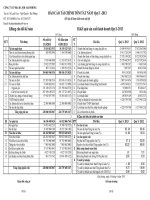 Báo cáo tài chính tóm tắt Quý I năm 2013