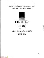 Bao cao thuong nien nam 2016