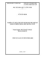 Nghiên cứu hoạt hóa bùn đỏ để hấp phụ một số anion ô nhiễm trong môi trường nước tt