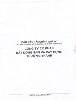Báo cáo tài chính Quý IV năm 2016 - Công ty Cổ phần Tecgroup