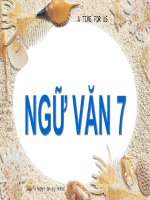 Bài 10. Thông tin về Ngày Trái Đất năm 2000