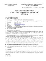 Báo cáo thường niên - www.phongphucorp.com