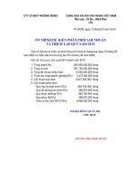 phuong an phan phoi loi nhuan-12